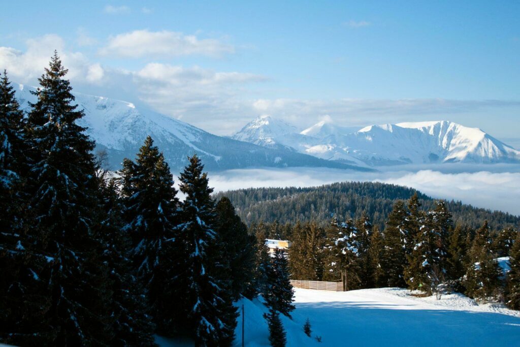 La station écologique de Chamrousse