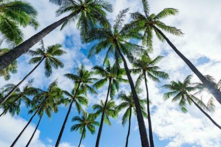 Découvrez Hawaï en 25 photos