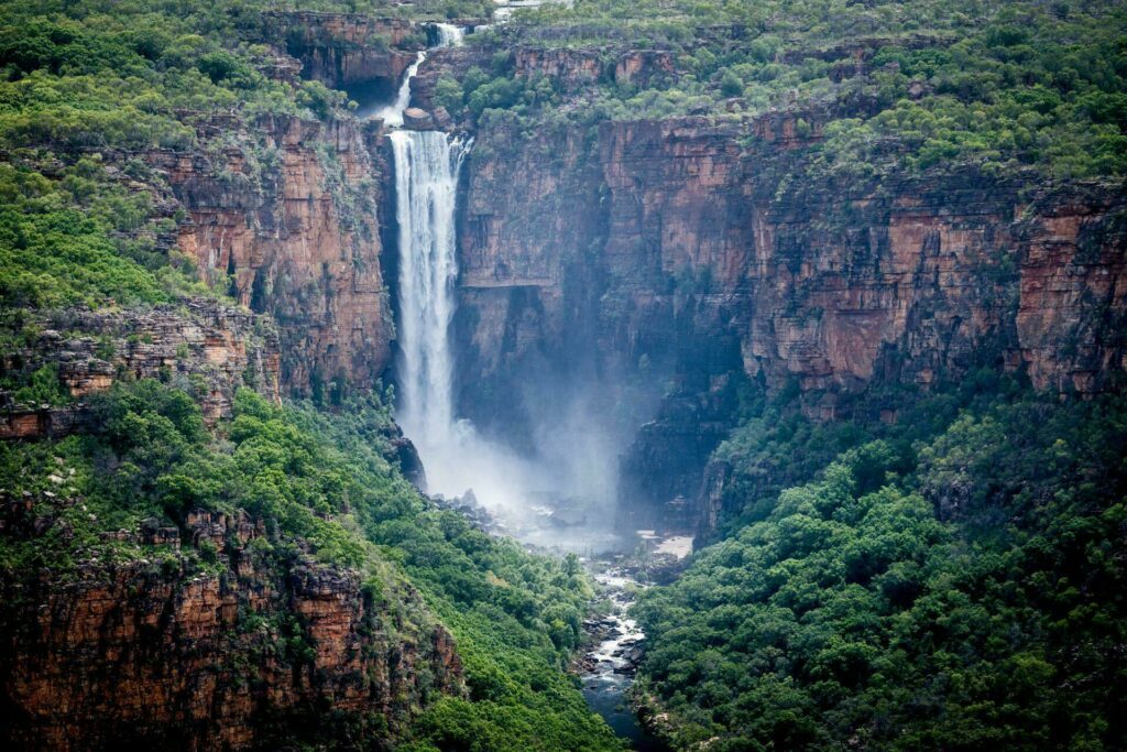 Kakadu Australie