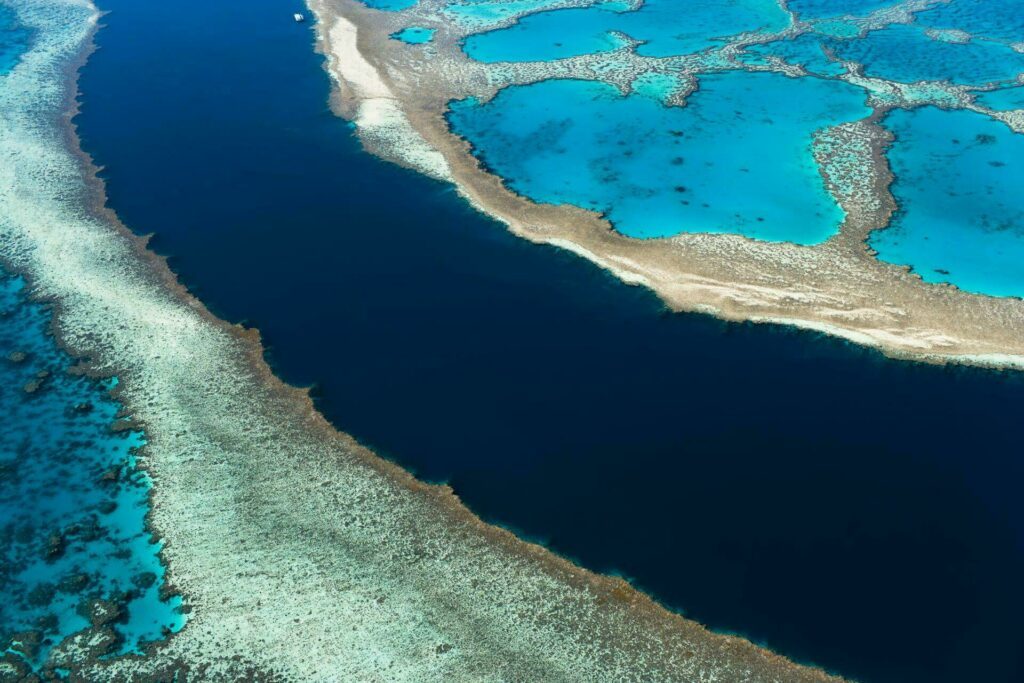 mer corail