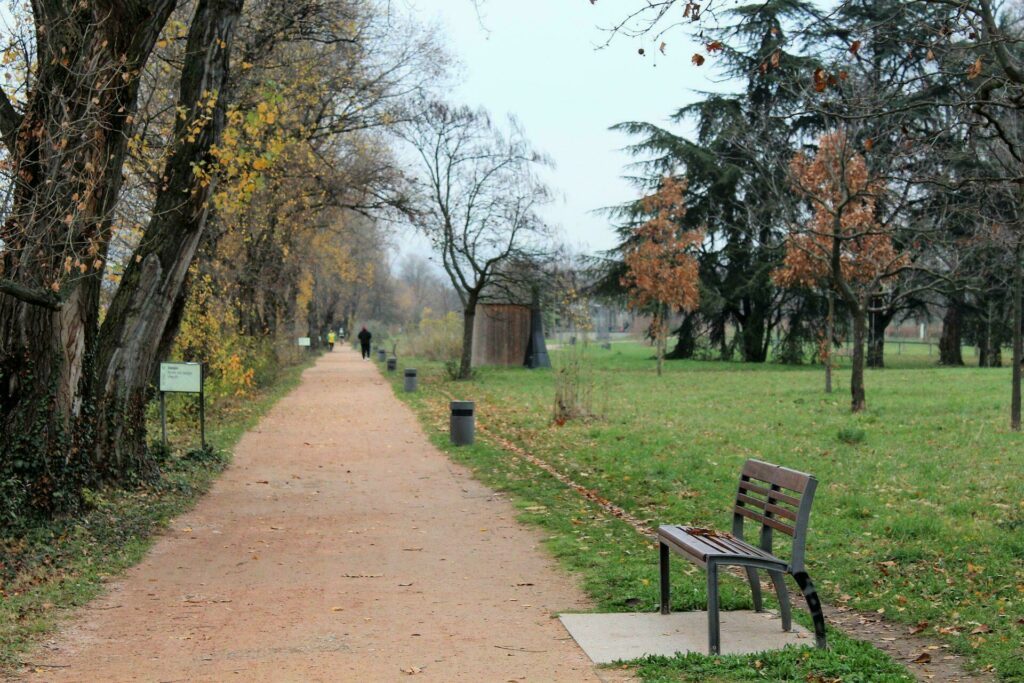 parc Gerland