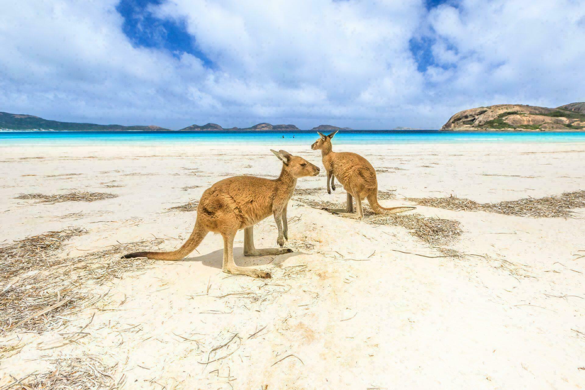 australie plage