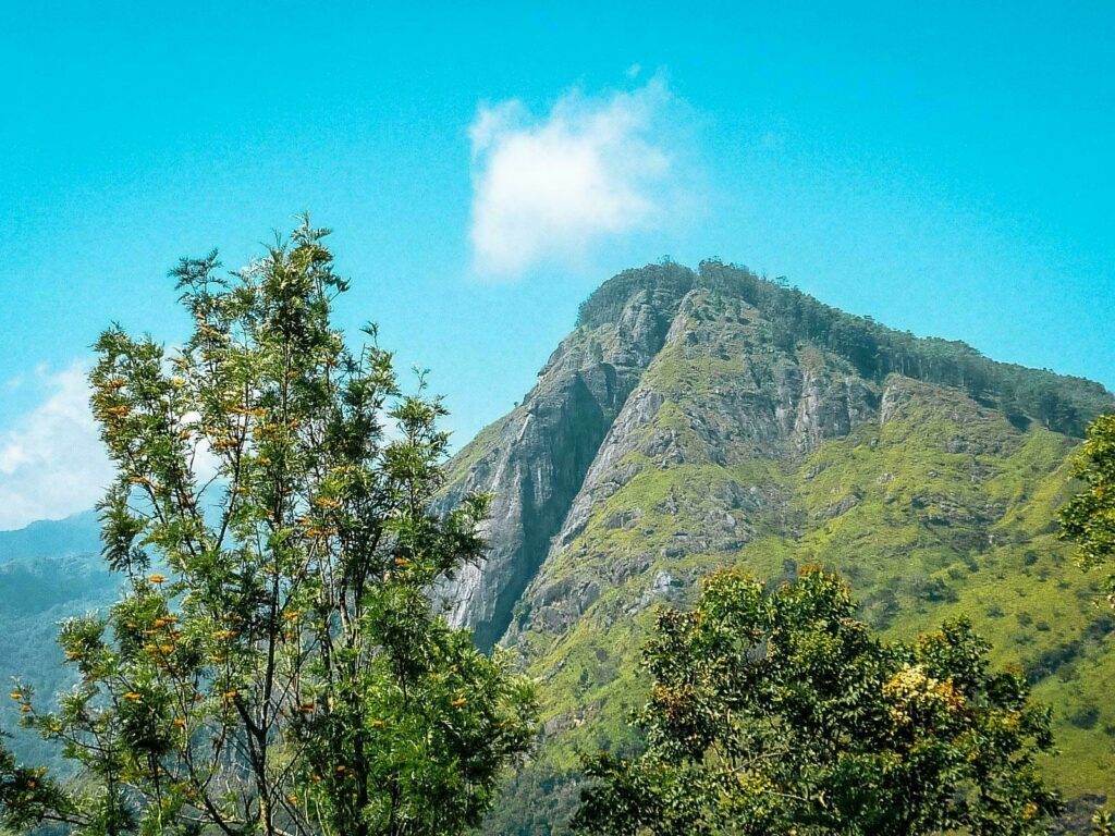 Faire de la tyrolienne au Sri Lanka