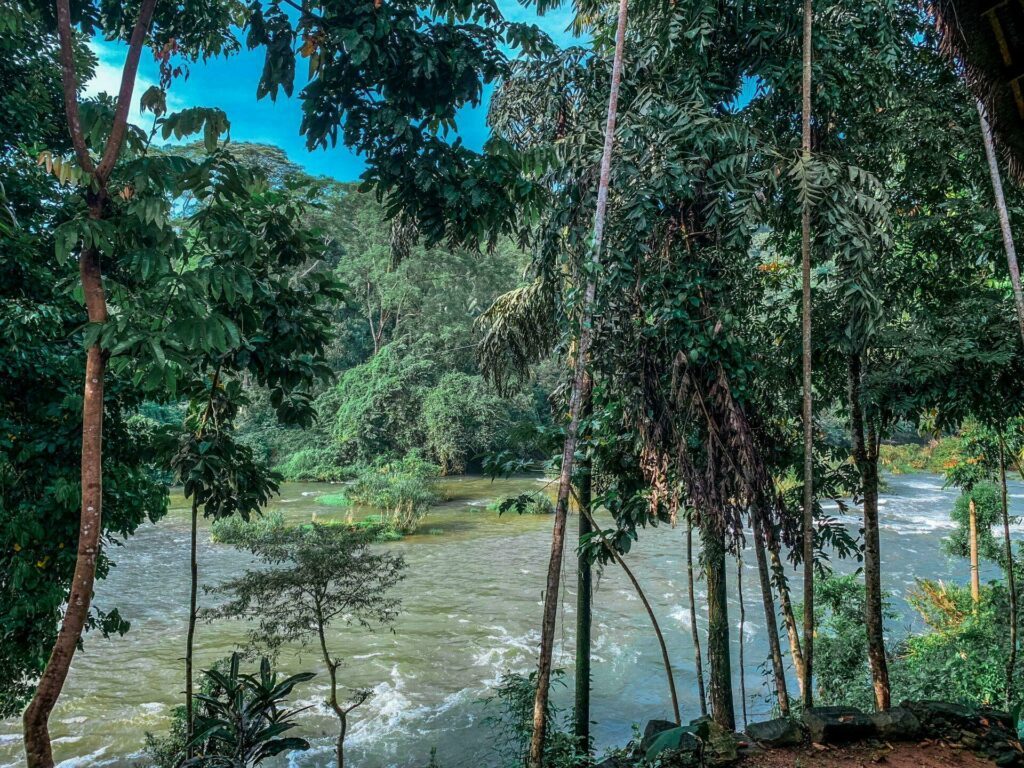 Faire du rafting autrement au Sri Lanka