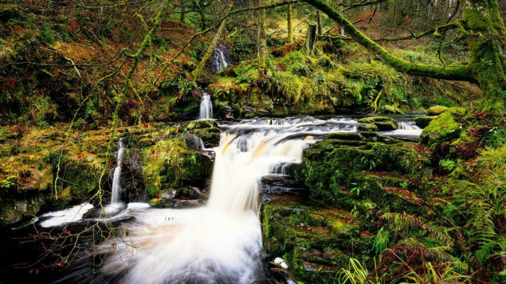 Glenariff Forest Park