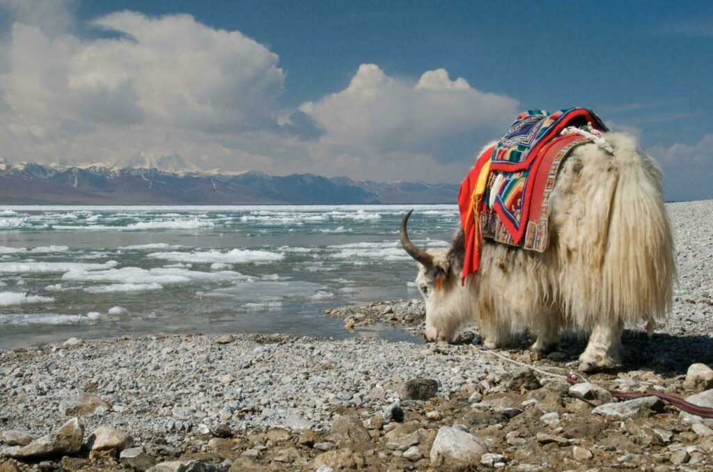 lac Nam Tso