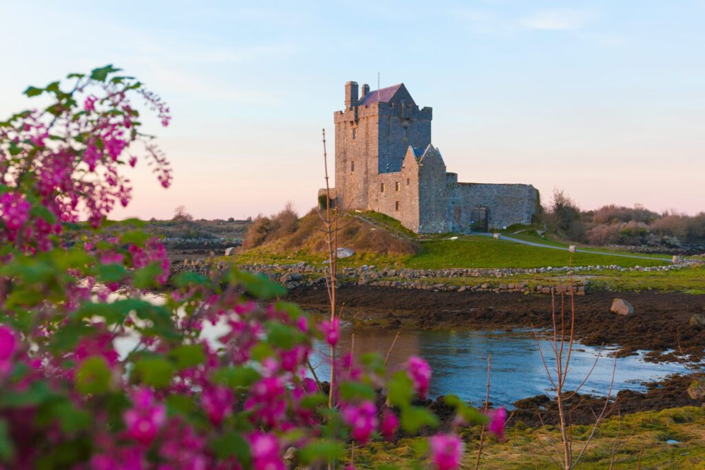 Le château de Dunguaire à Kinvara, autour de Galway