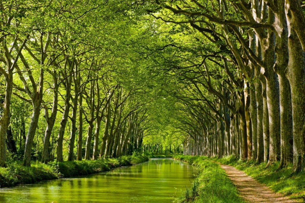 canal du midi autour de toulouse