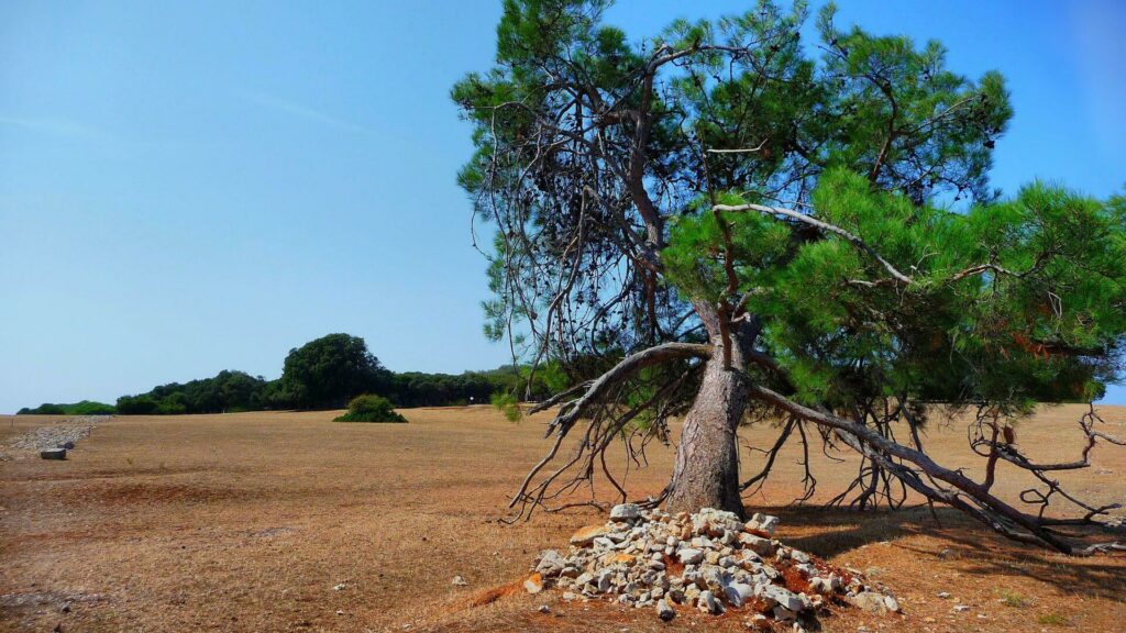 parc national Brijuni