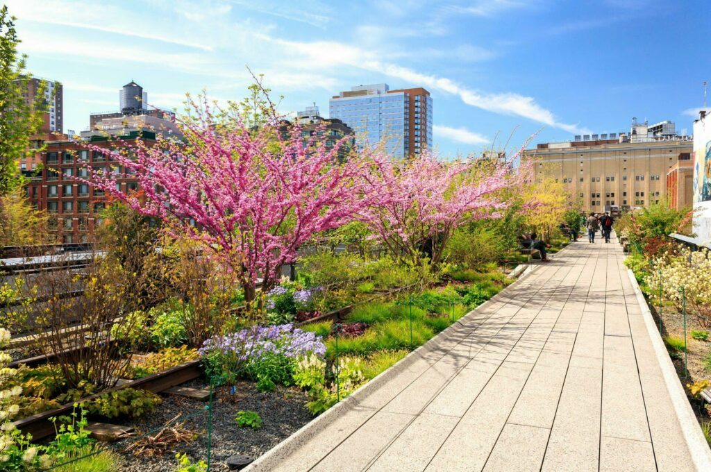 point de vue high line