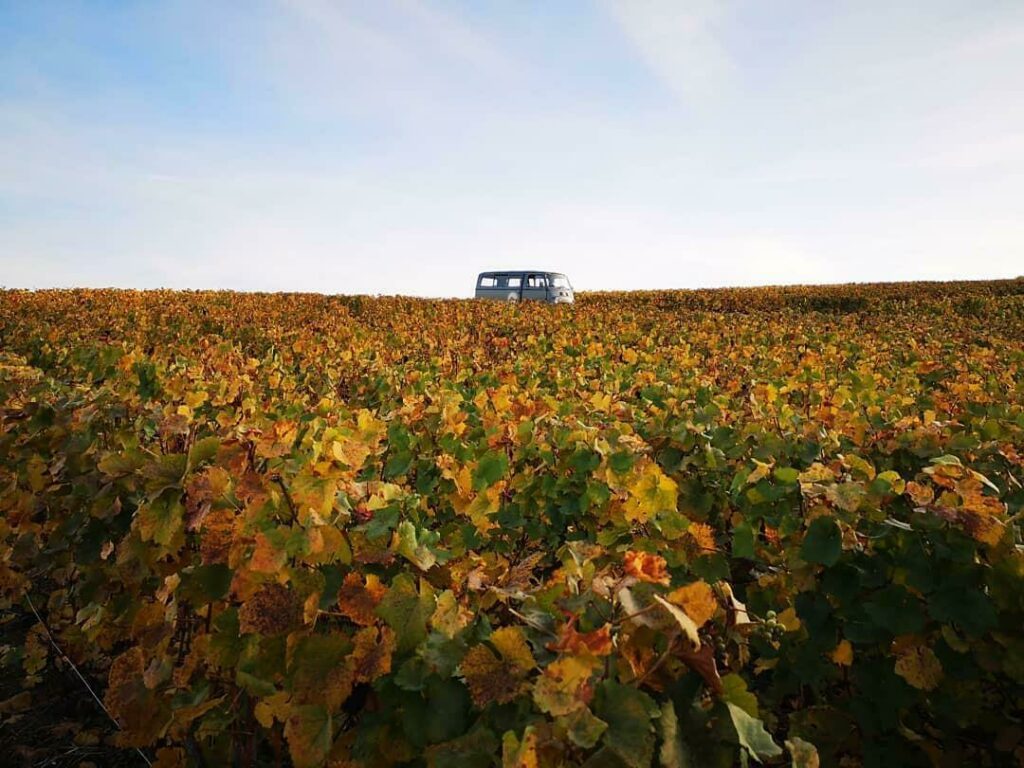 Balade en Van Vintage en Champagne 