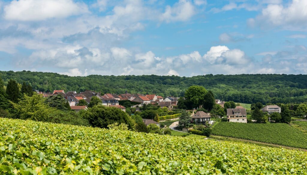 Hautvillers-autour-de-reims