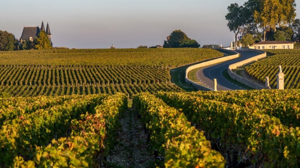 La route des vins du Médoc autour de Bordeaux