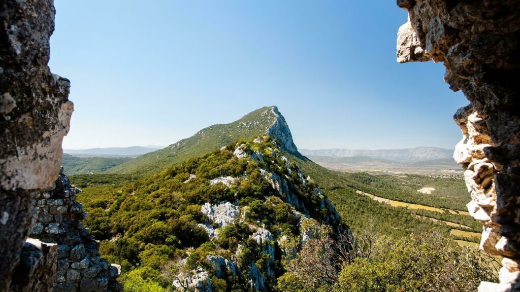 Vue sur le Pic Saint-Loup 