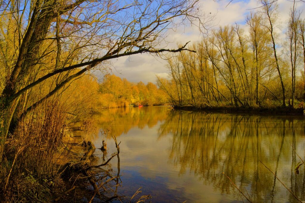 Biesbosch