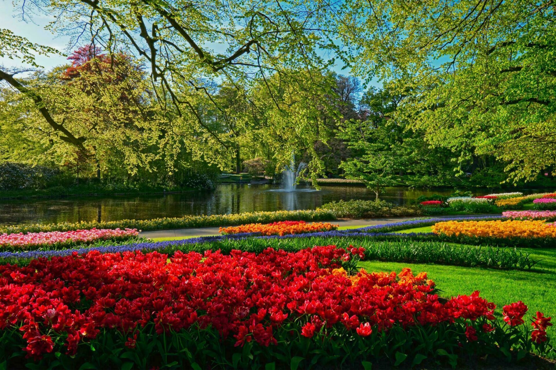 Keukenhof jardin