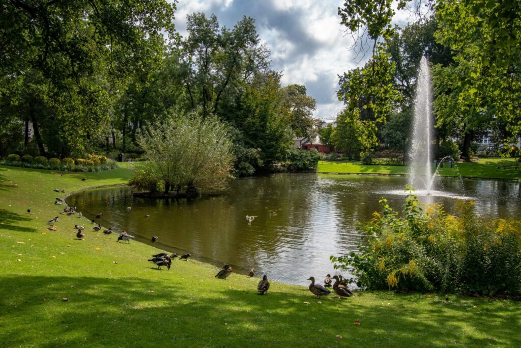 Le jardin des Plantes