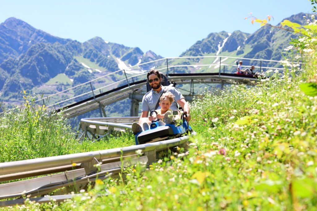 La luge d'été en montagne