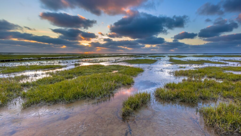 mer des Wadden