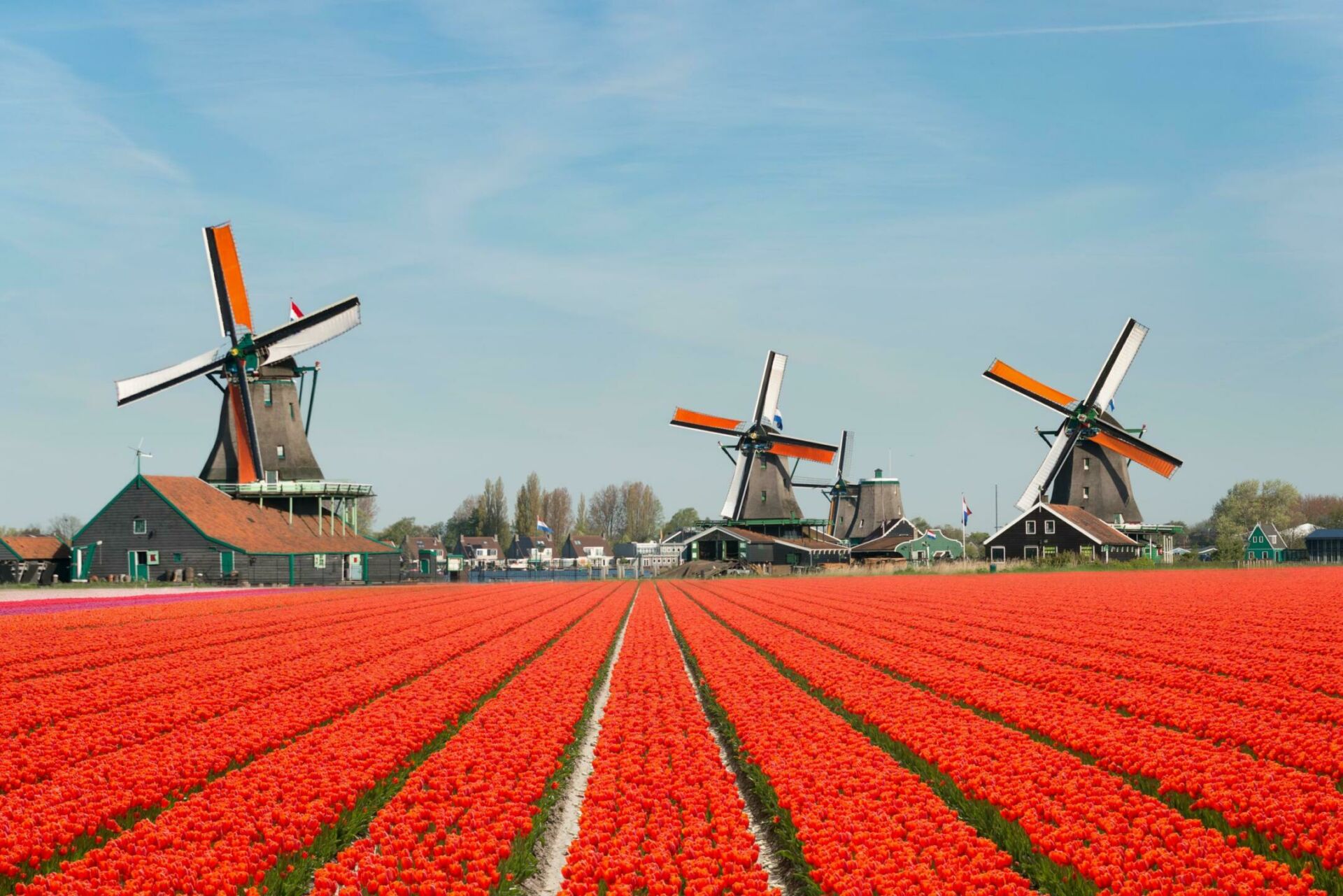 Pays-Bas