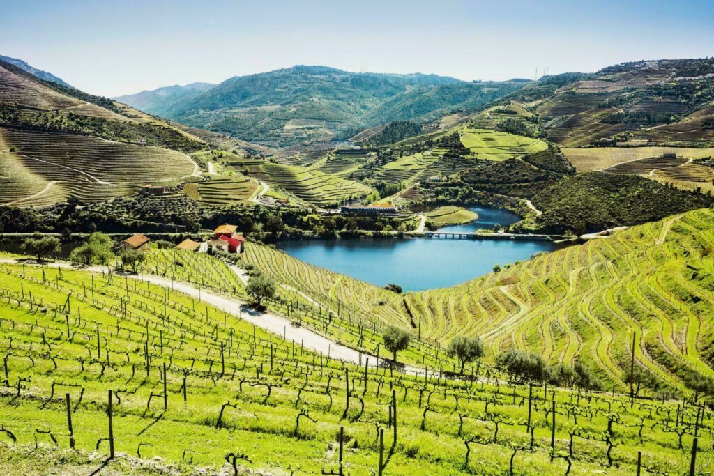 vallée du Douro
