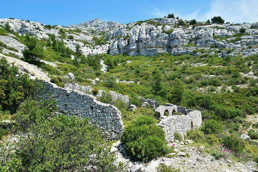 Visiter les Calanques de Marseille 