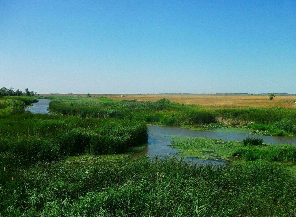 parc national Hortobagy Hongrie