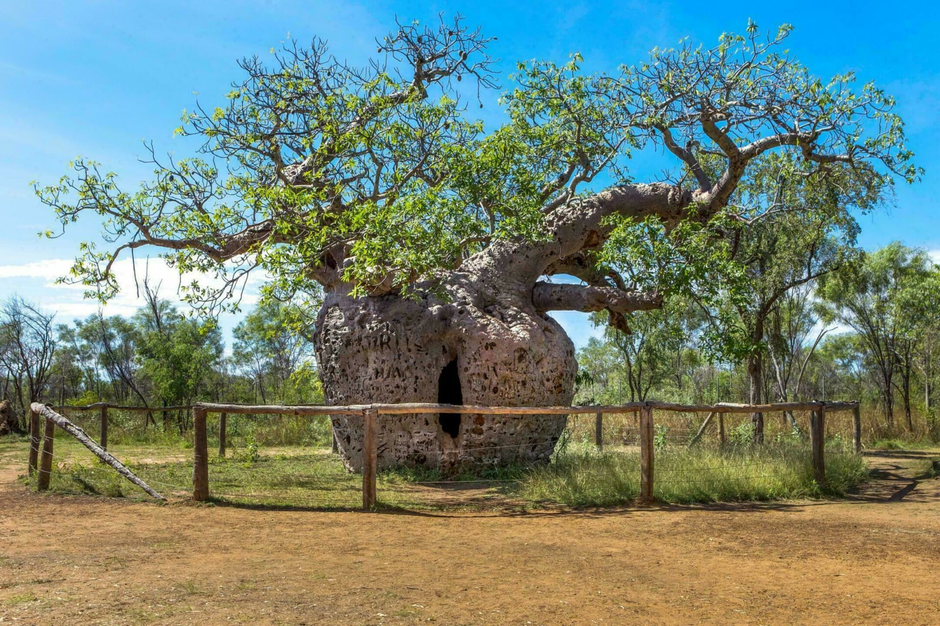 Visitez l'Australie insolites : Derby et son baobab prison