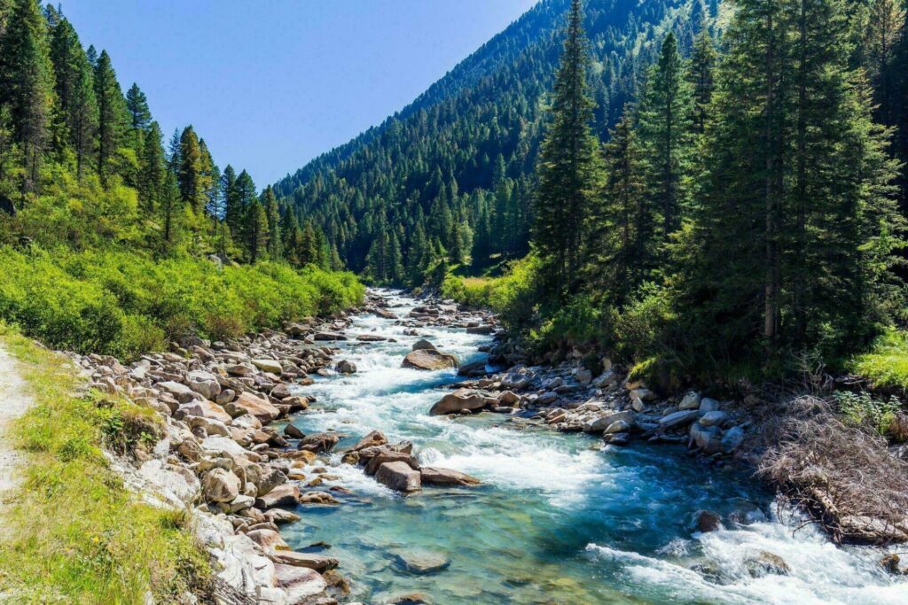 forêt Autriche