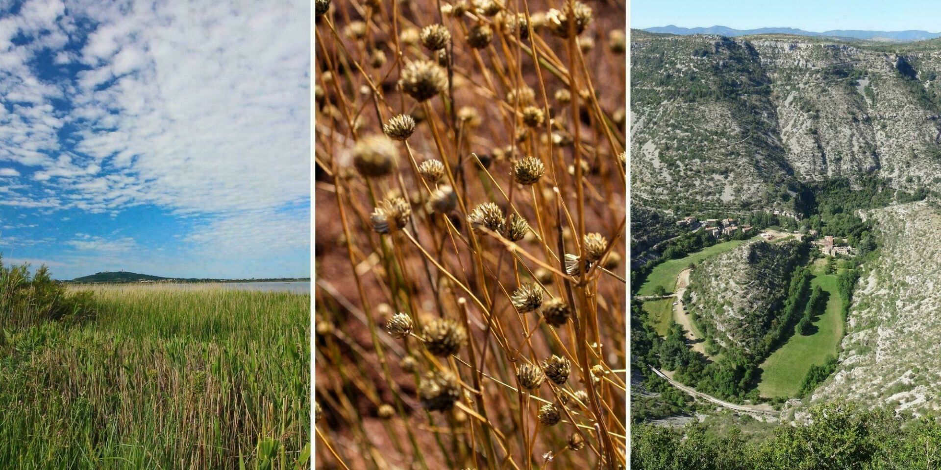Découvrez l'Hérault nature