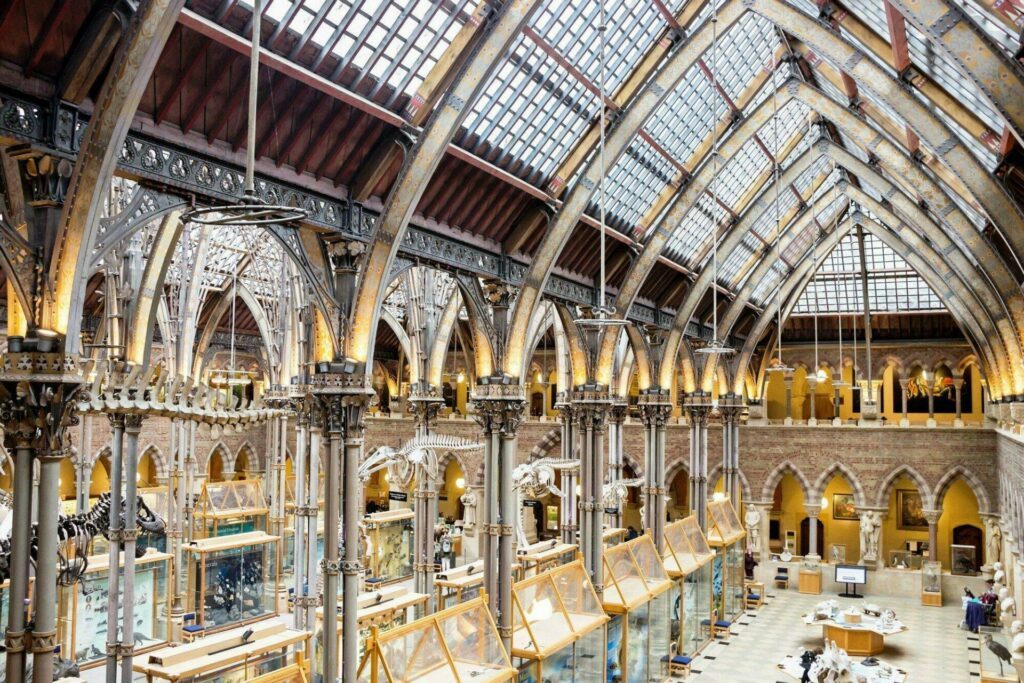 musée histoire naturelle Oxford