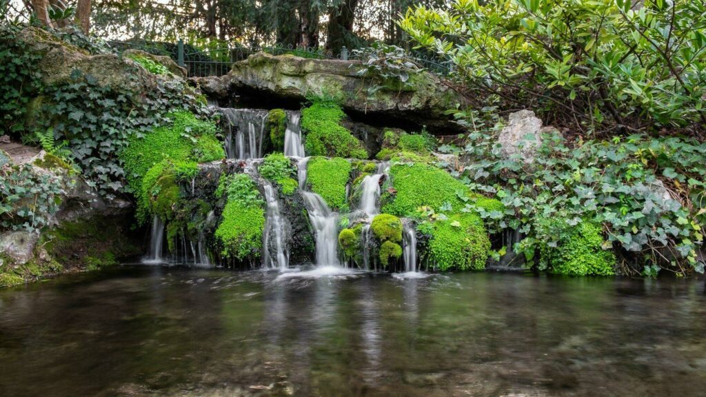 parc Schneiter