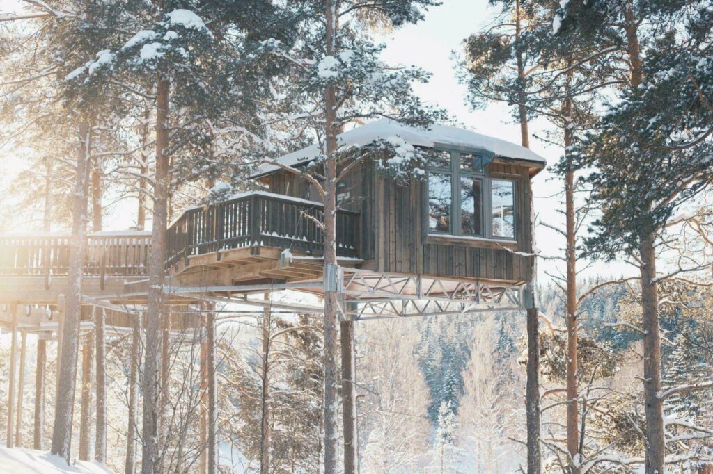 Dormir dans une cabane dans les arbres en hiver