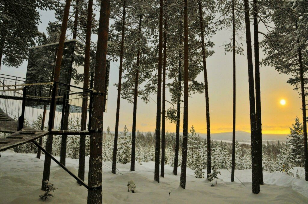 Hébergement insolite pour dormir dans les arbres (Suède)