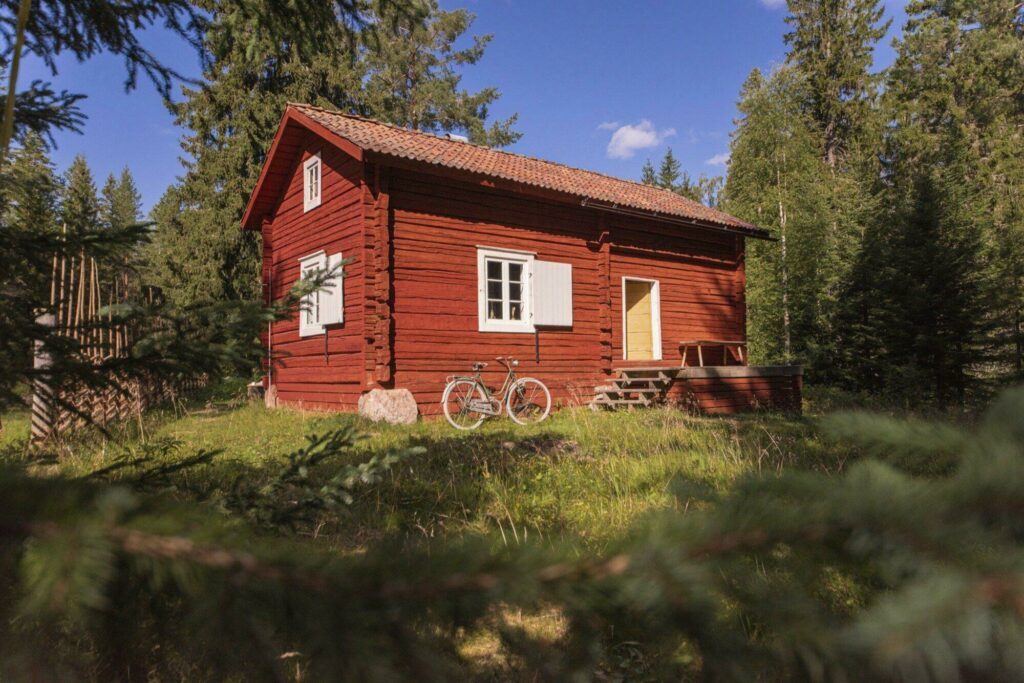 Hébergement de type chalet au milieu de la forêt