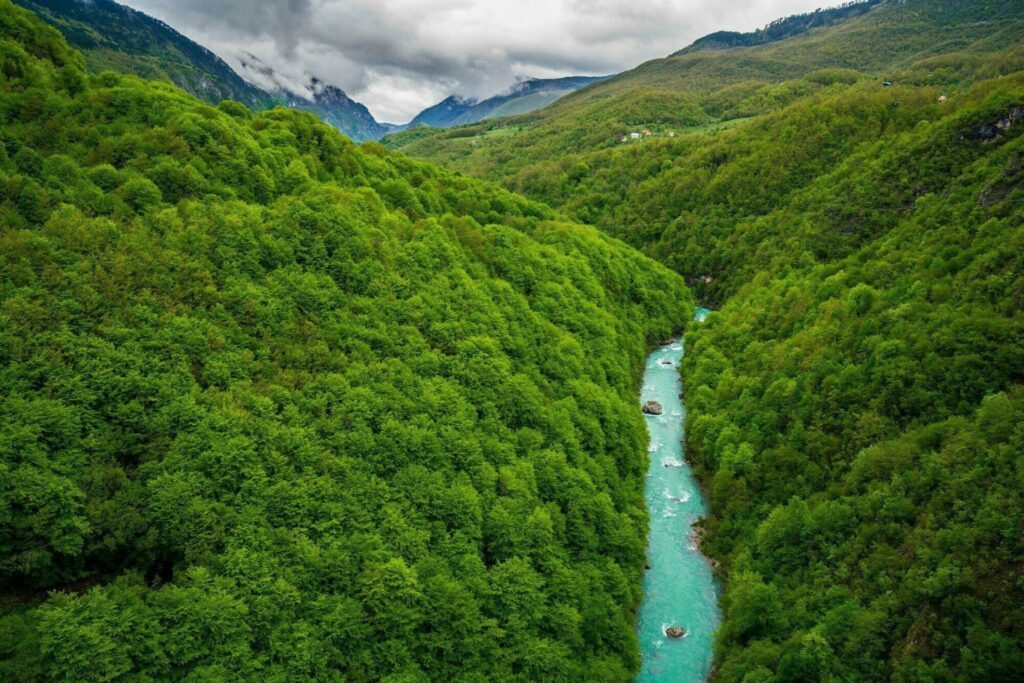 canyon Tara