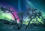 Laponie hiver aurore boréale - Fairy Tree