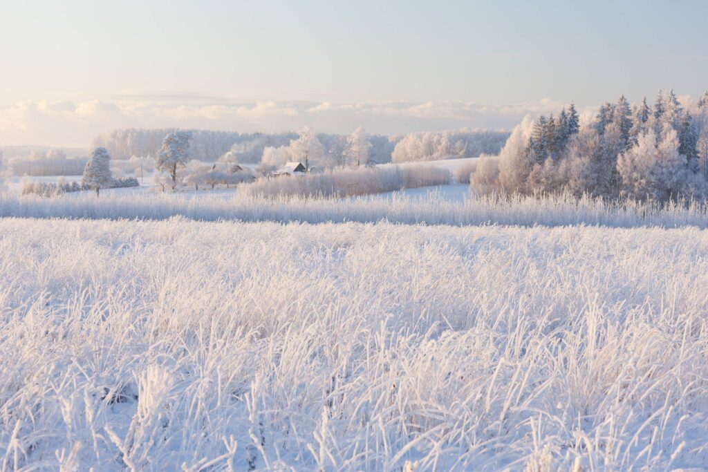 Lettonie en hiver