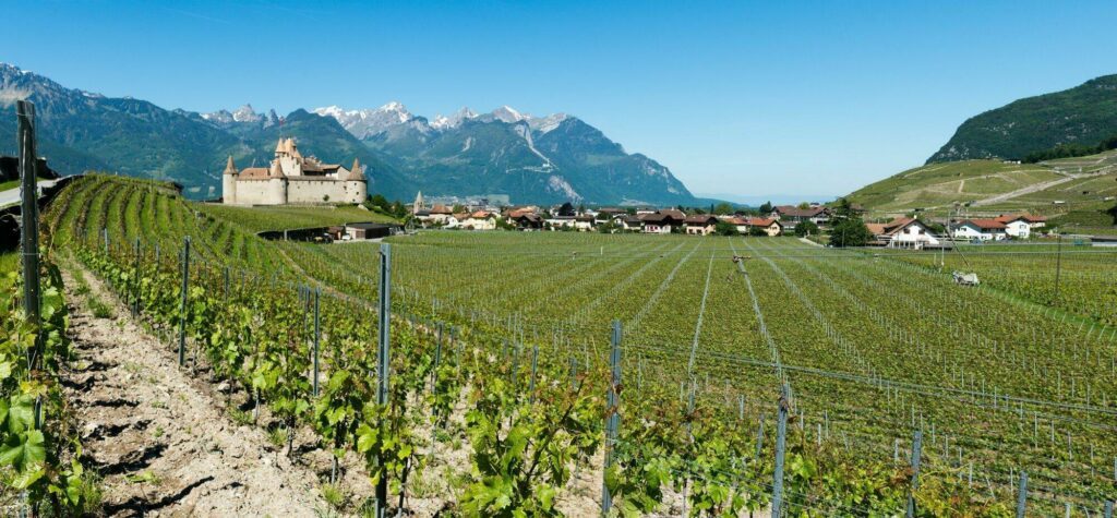 panorama Chablis