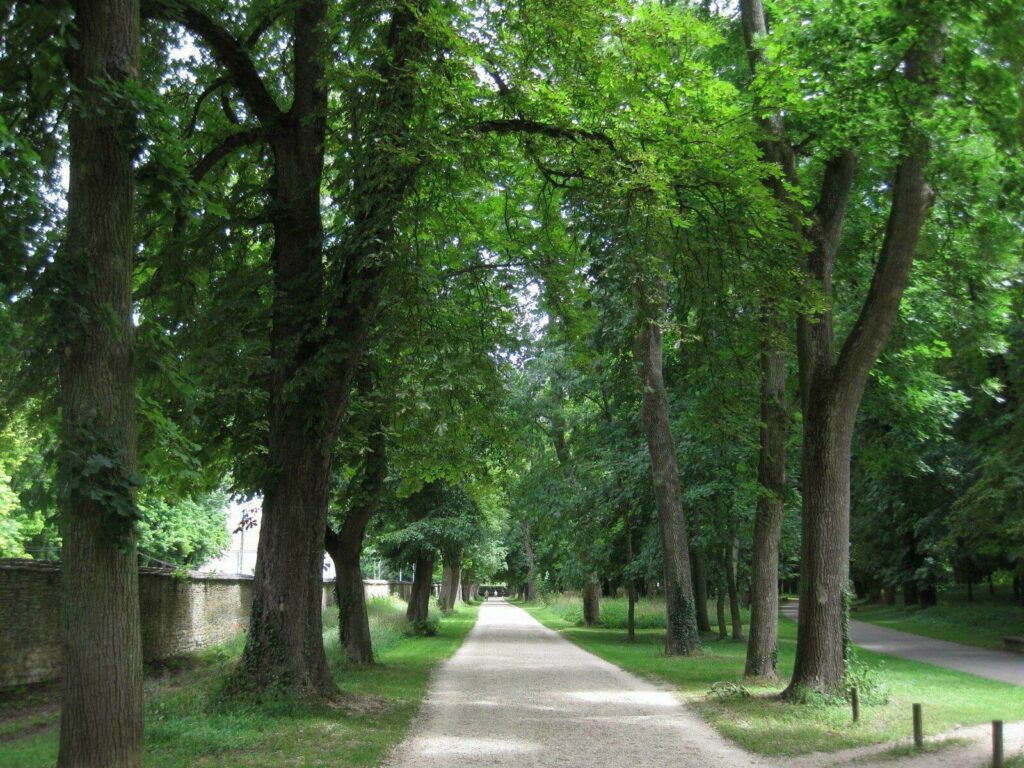 parc de la Colombière Dijon