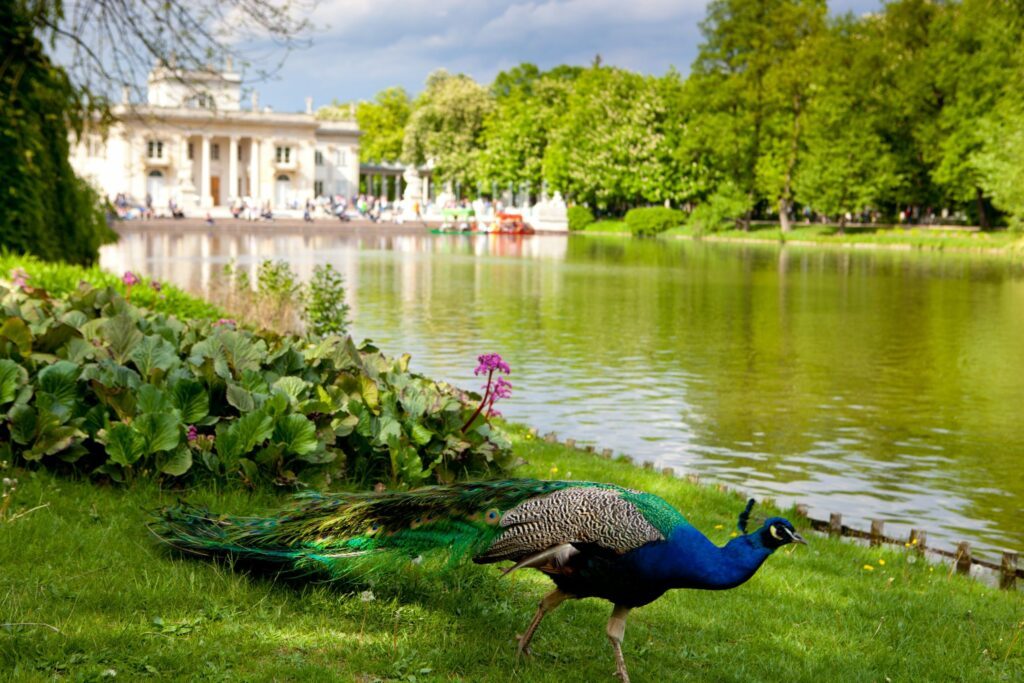 parc Lazienki