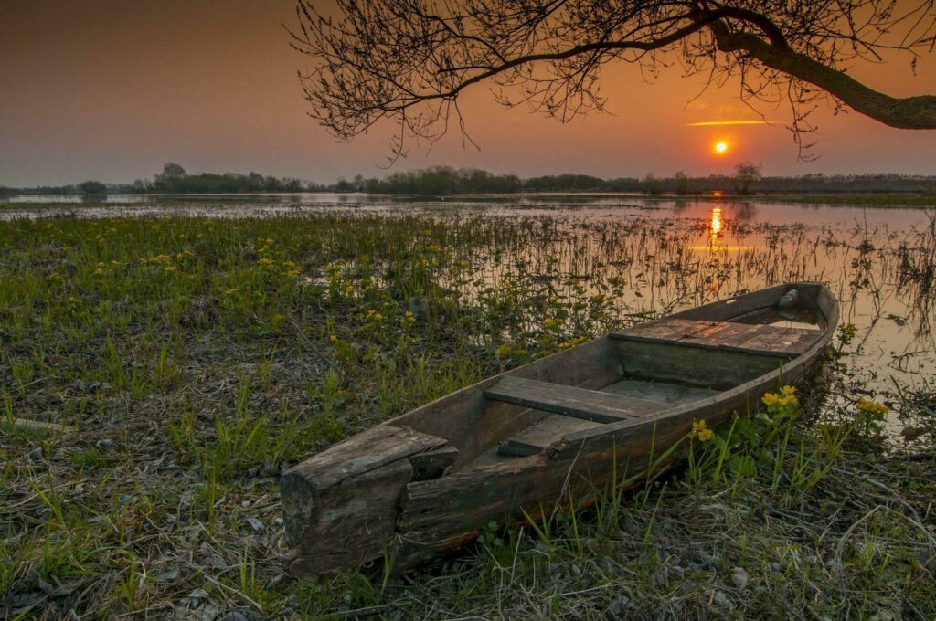 parc national de Biebrza