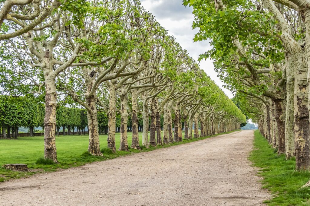 Se promener à Meudon