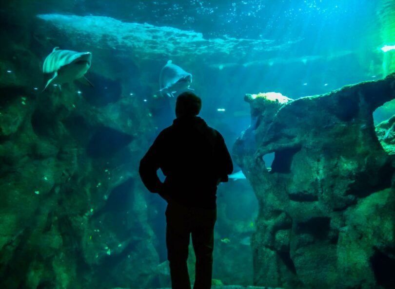 aquarium de France