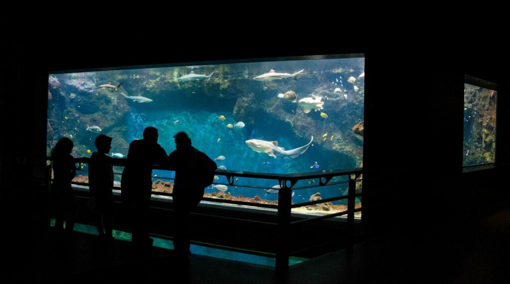 aquarium Lyon