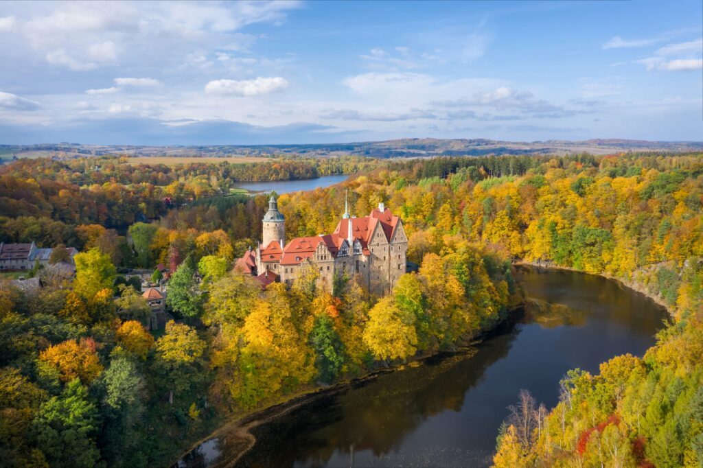 forêt en Pologne