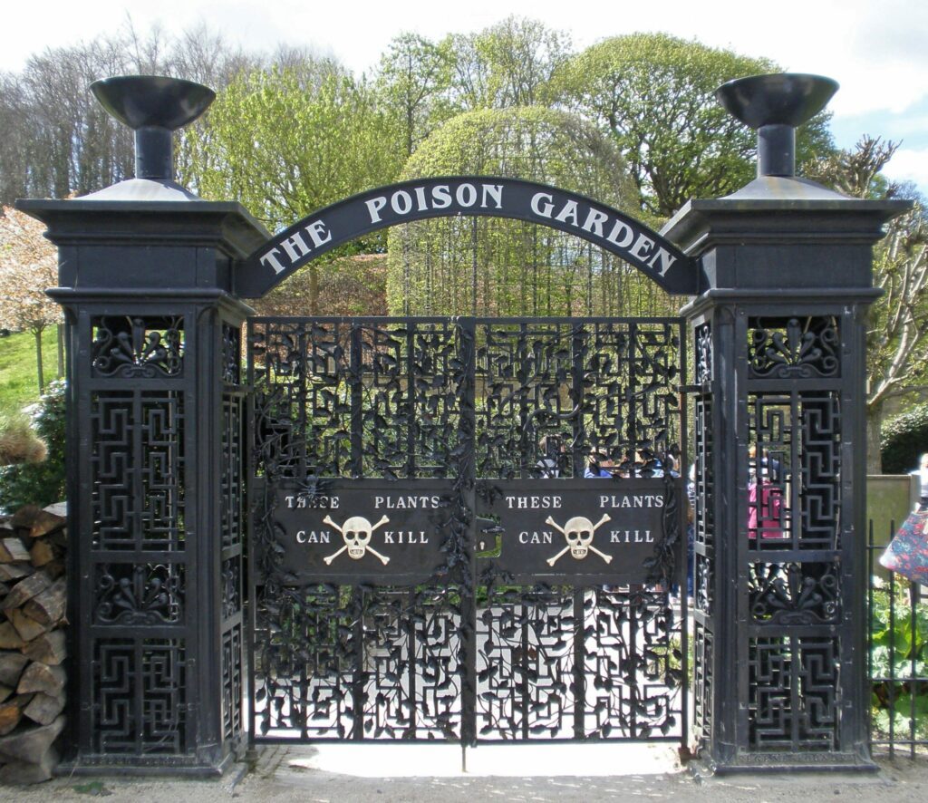 jardin poison dangereux