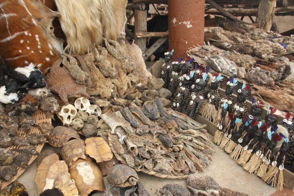 marché Vaudou de Togo