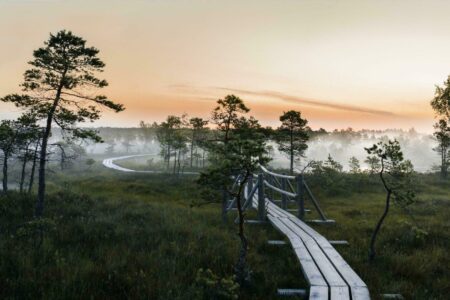 Les 12 plus beaux paysages de la Lettonie en images