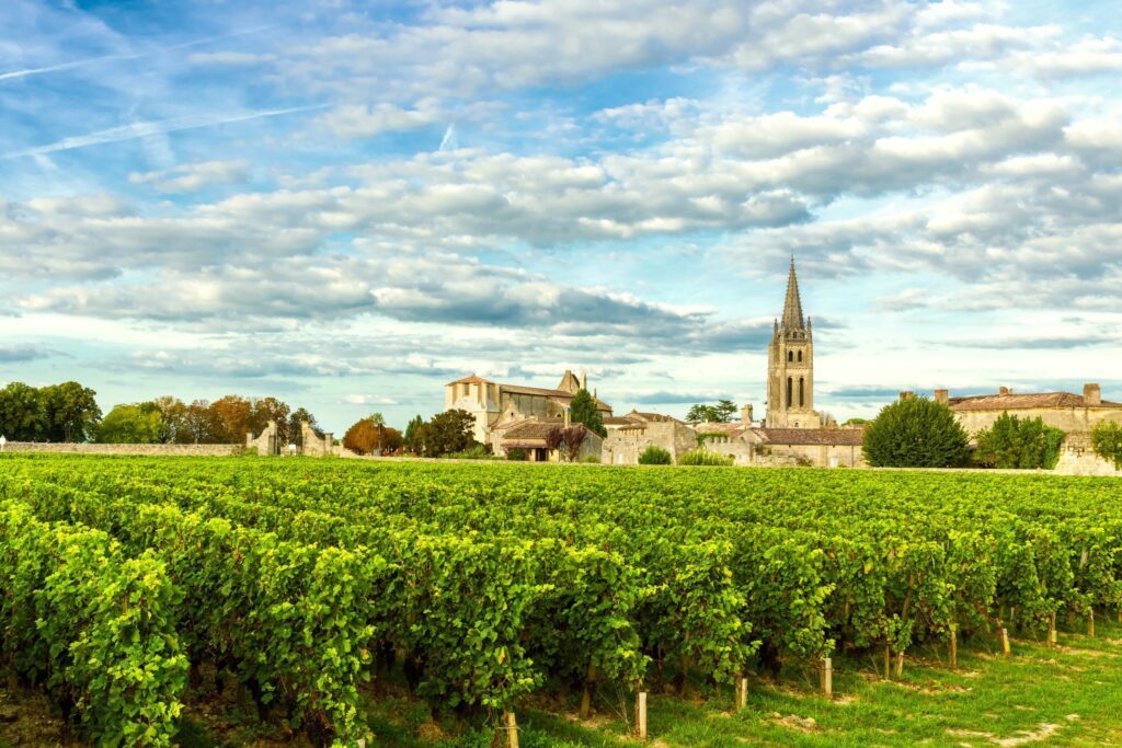 vignoble Bordeaux